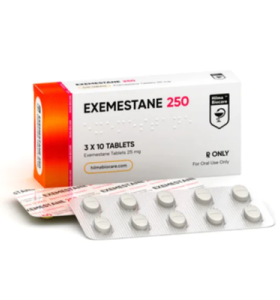 Exemestano 250 Hilma Biocare EU Exemestano 250 Hilma Biocare EU