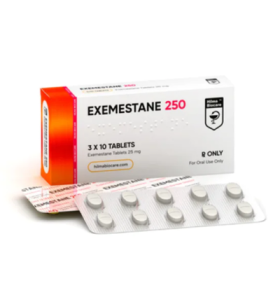 Exemestano 250 Hilma Biocare EU Exemestano 250 Hilma Biocare EU
