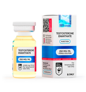 Enantato de testosterona 250 Hilma Biocare EU