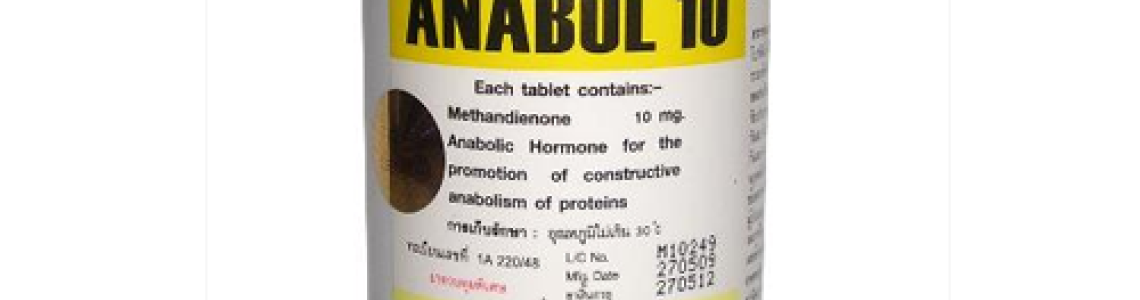 Por que a engrenagem de aço deve ser sua única parada para todos os esteróides Por que a engrenagem de aço deve ser sua única parada para todos os esteróides