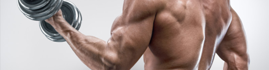 Como treinar? Treinamento completo ou separado de grupos musculares?