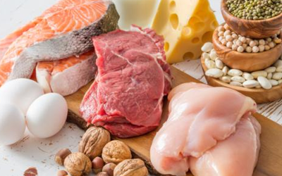 Necessidades diárias de proteína Necessidades diárias de proteína