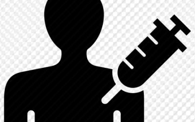 Use esteróides genuínos e desfrute do físico desejado Use esteróides genuínos e desfrute do físico desejado