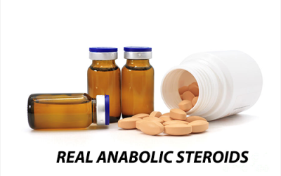 Esteróides reais Esteróides reais