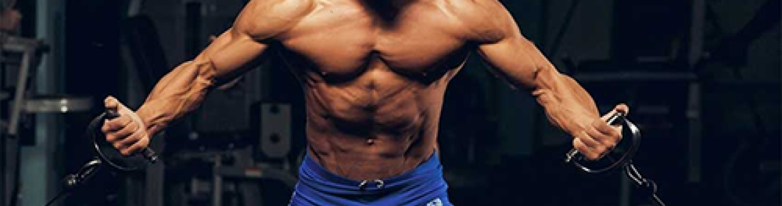 Um guia rápido sobre como comprar esteróides baratos online Um guia rápido sobre como comprar esteróides baratos online