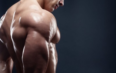 Esteróides para musculação: explorando os benefícios, riscos e considerações éticas Esteróides para musculação: explorando os benefícios, riscos e considerações éticas