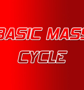 Ciclo Básico de Esteroides em Massa