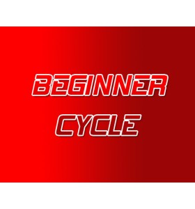 Ciclo de esteróides para iniciantes