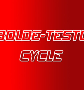 Letra - Balls Steroid Cycle