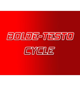 Letra - Balls Steroid Cycle Letra - Balls Steroid Cycle