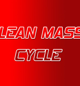 Ciclo de esteroides de massa magra