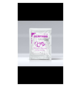 Salbutamol (Ventolin) 100 comprimidos 10 mg Dragon Pharma