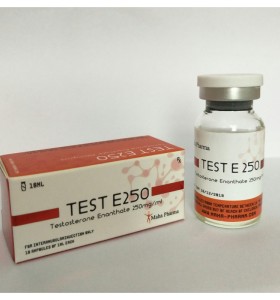 Teste E 250 Maha Pharma