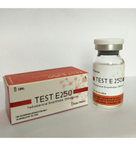 Teste E 250 Maha Pharma Teste E 250 Maha Pharma