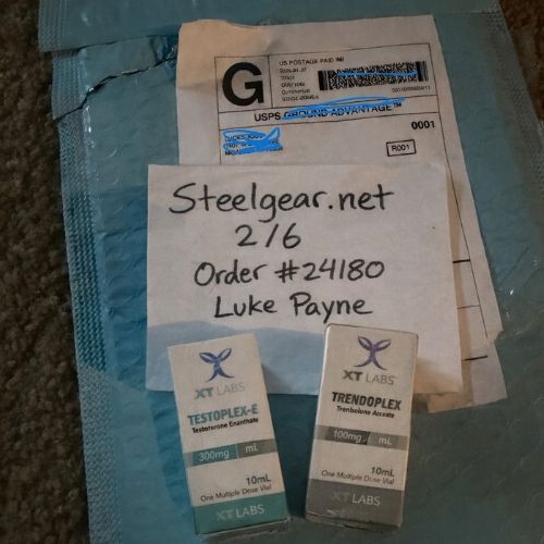 TESTOPLEX - E300 Xt Labs EUA